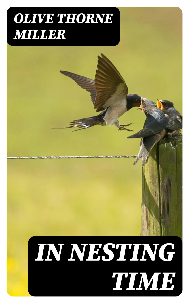 Portada: In Nesting Time