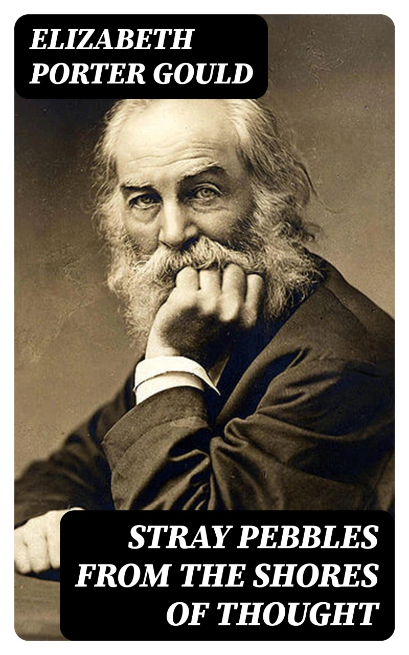 Portada: Stray Pebbles from the Shores of Thought