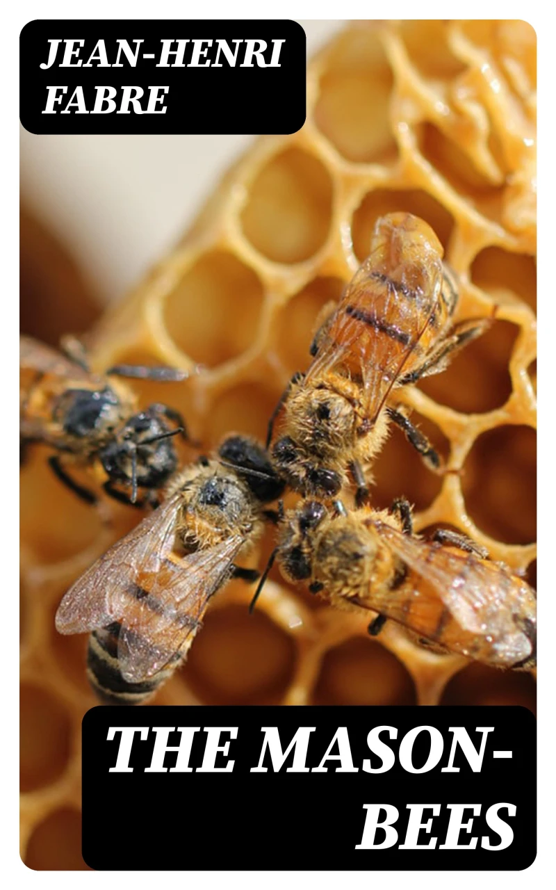 Portada: The Mason-Bees