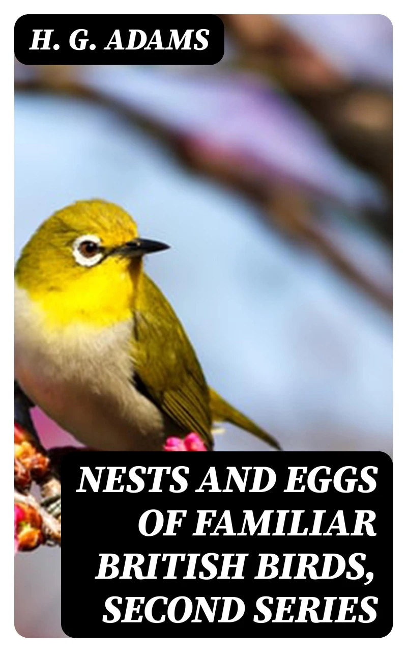 Portada: Nests and Eggs of Familiar British Birds, Second Series