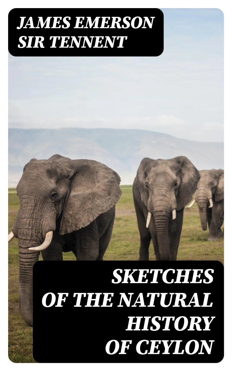 Portada: Sketches of the Natural History of Ceylon