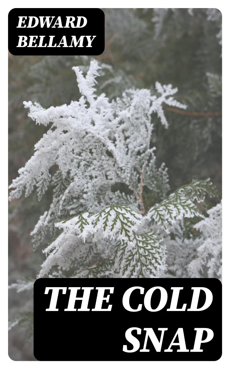 Portada: The Cold Snap