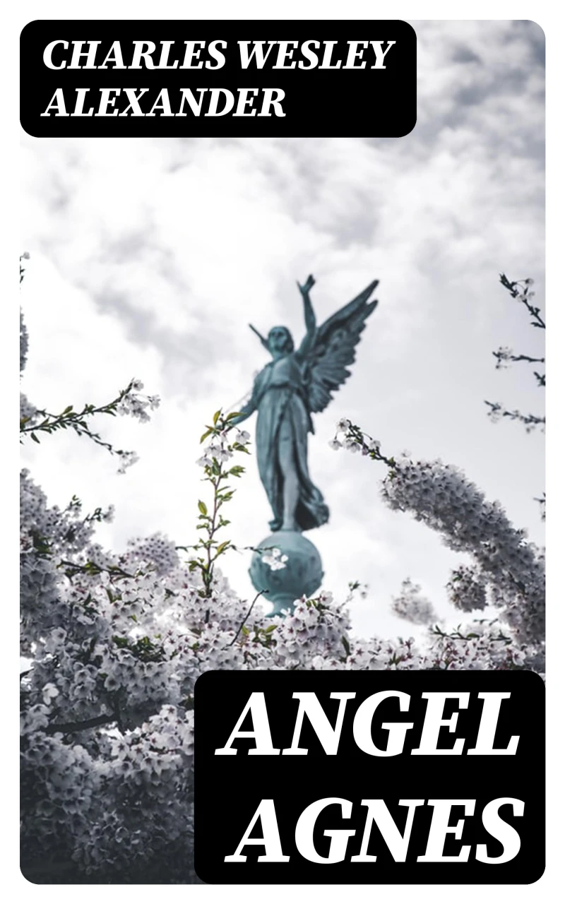 Portada: Angel Agnes