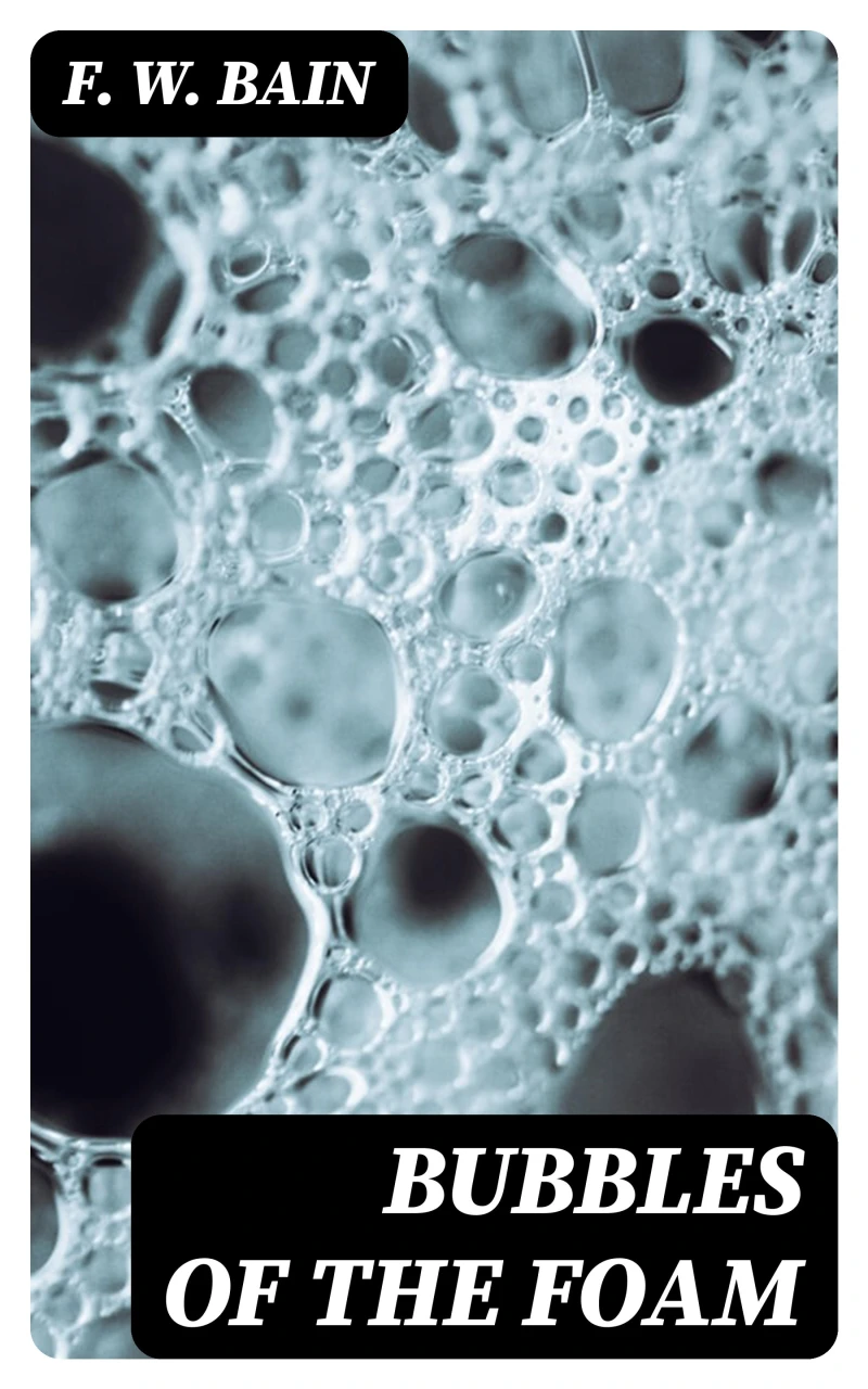 Portada: Bubbles of the Foam