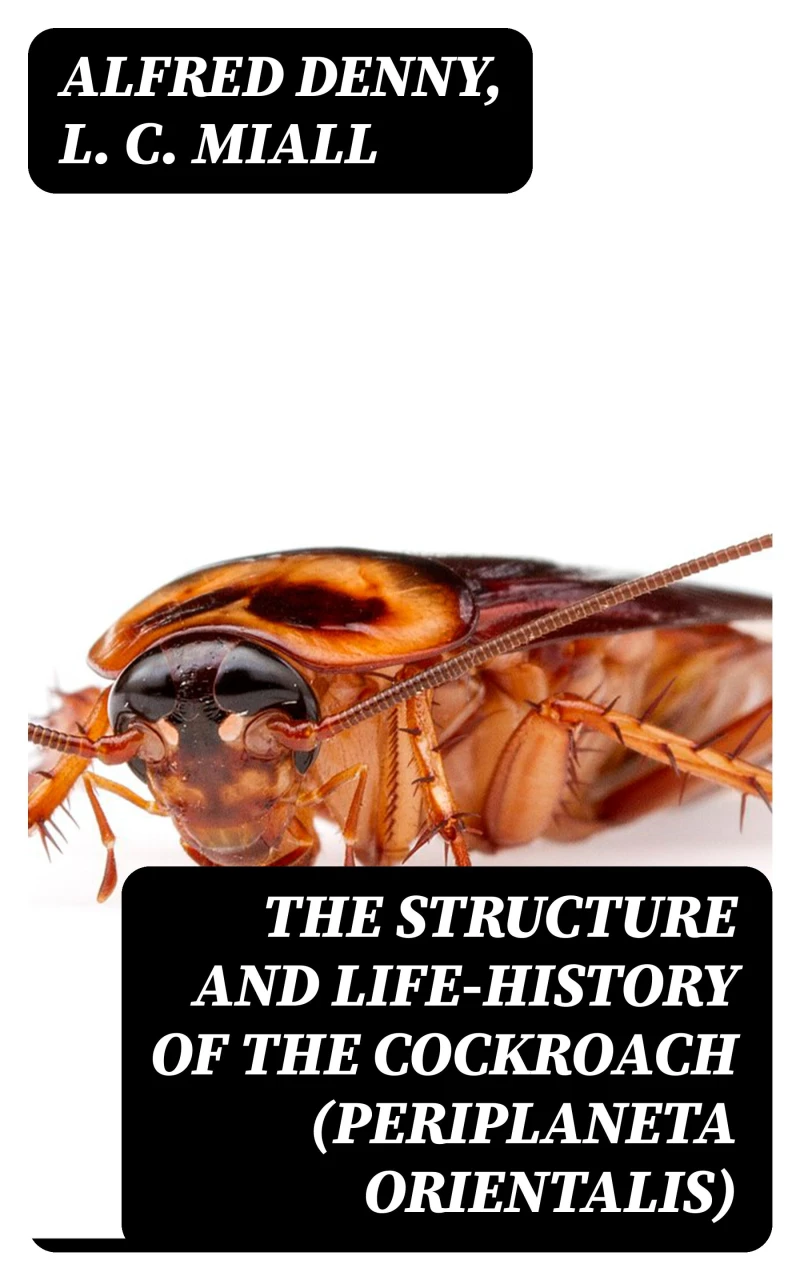 Portada: The Structure and Life-history of the Cockroach (Periplaneta orientalis)