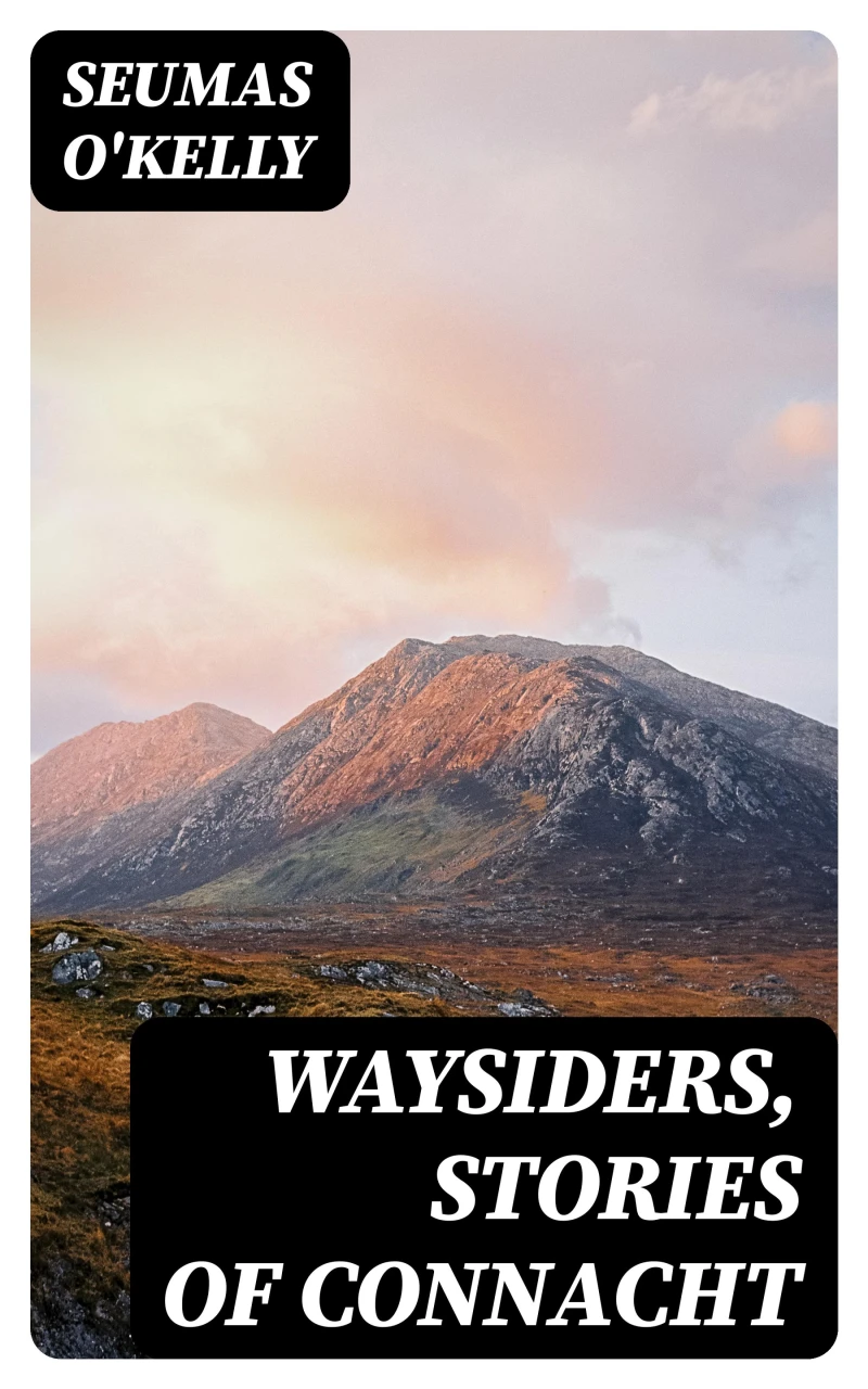 Portada: Waysiders, Stories of Connacht