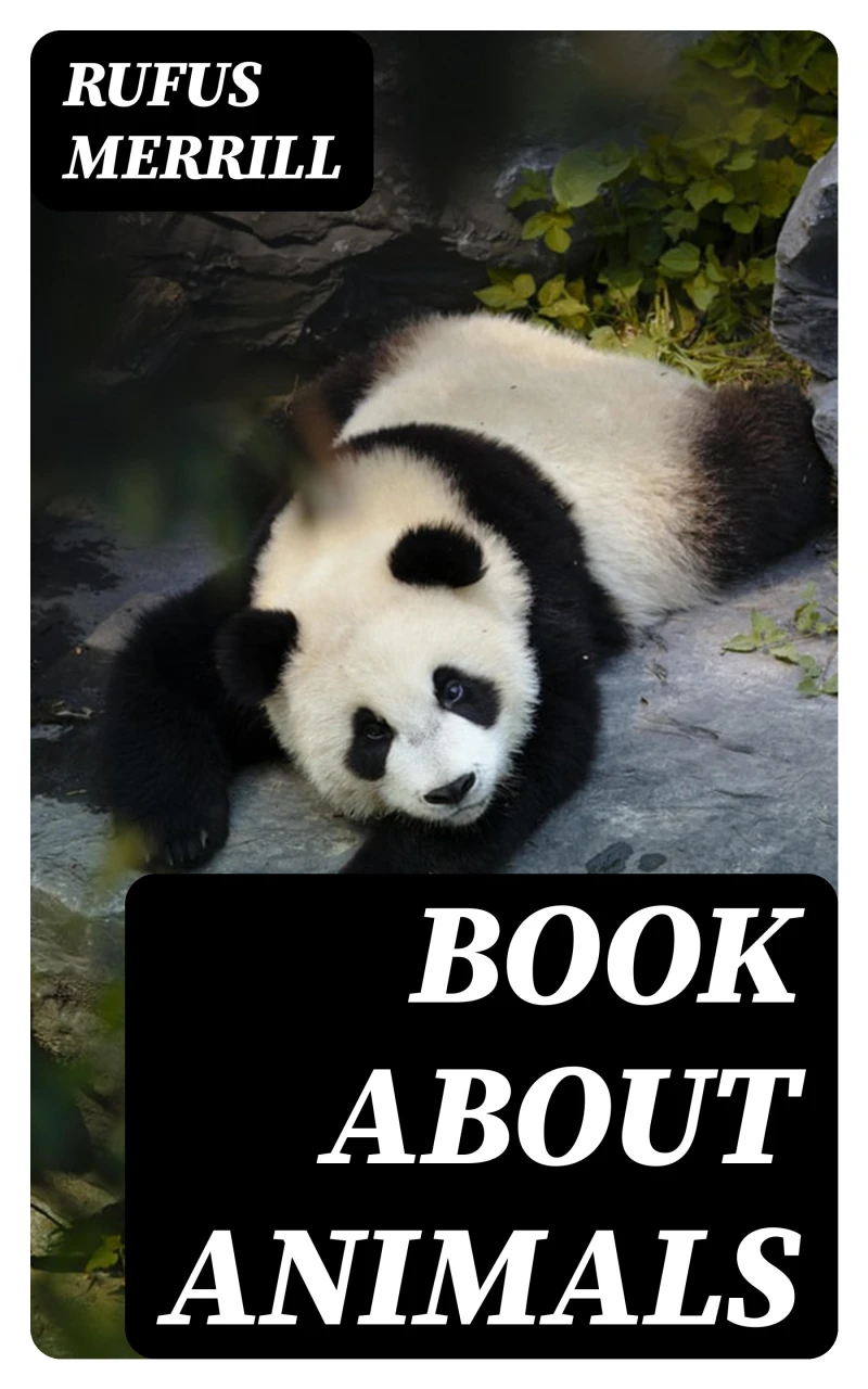 Portada: Book about Animals