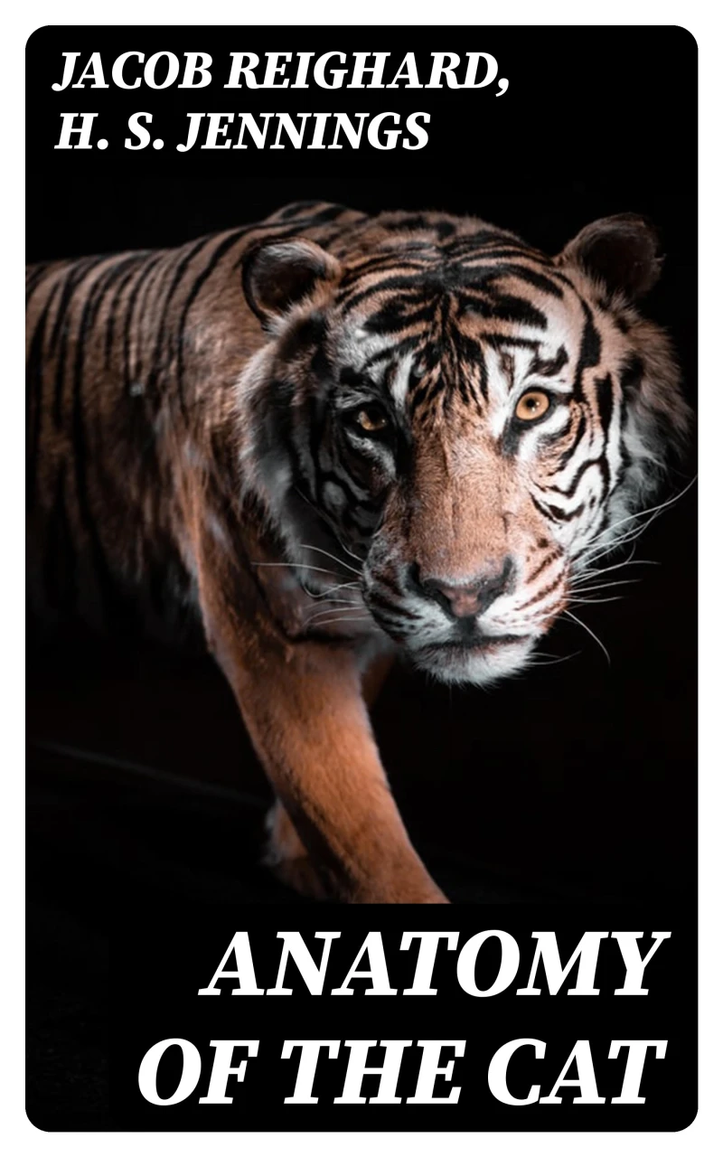 Portada: Anatomy of the Cat