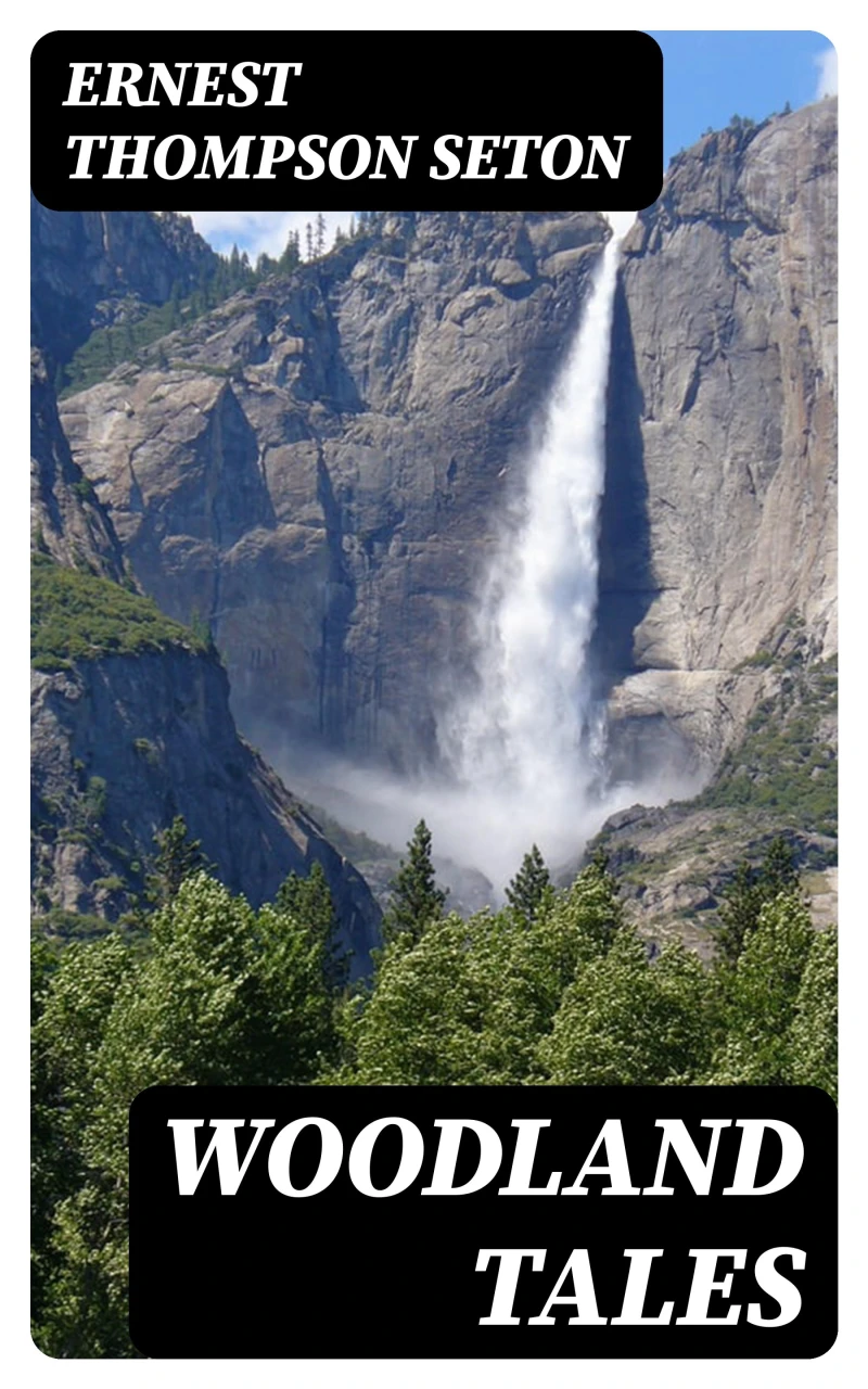 Portada: Woodland Tales
