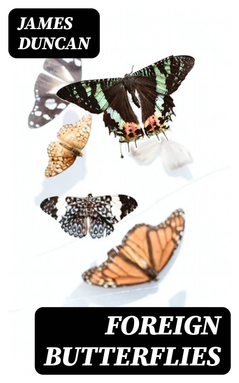 Portada: Foreign Butterflies