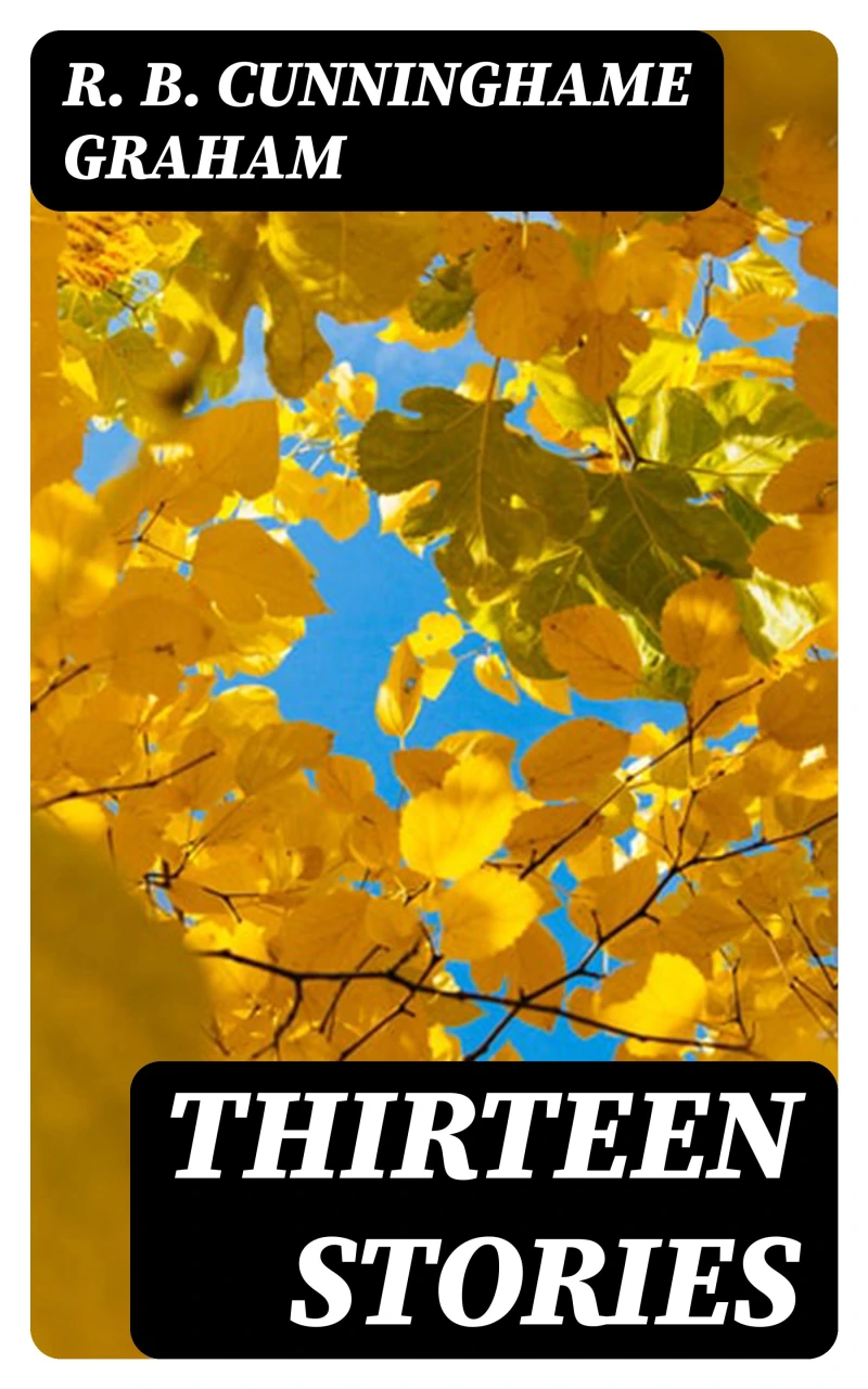 Portada: Thirteen Stories