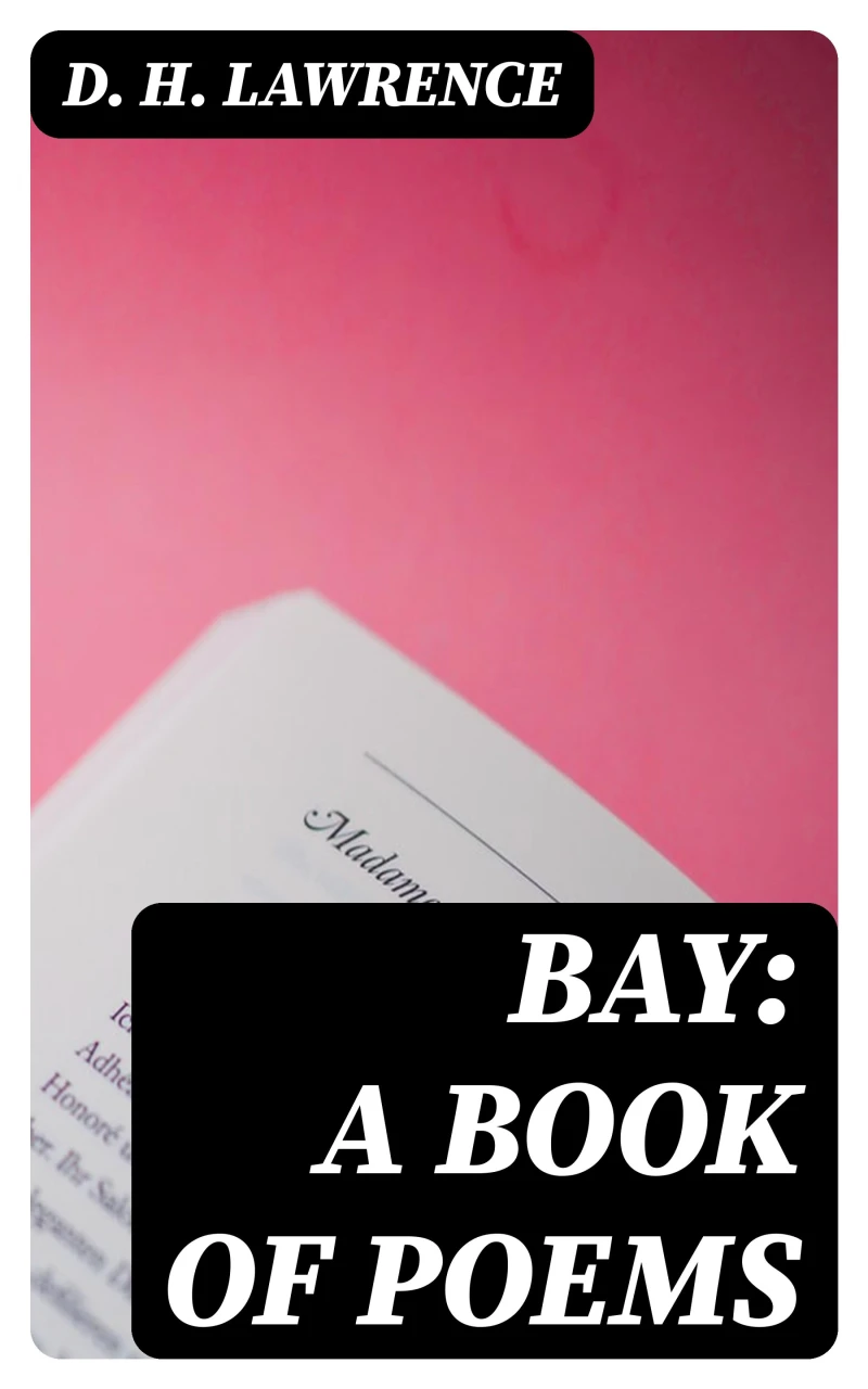 Portada: Bay: A Book of Poems