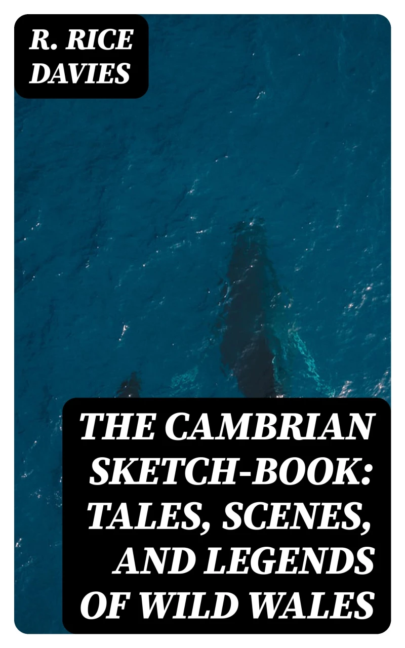 Portada: The Cambrian Sketch-Book: Tales, Scenes, and Legends of Wild Wales