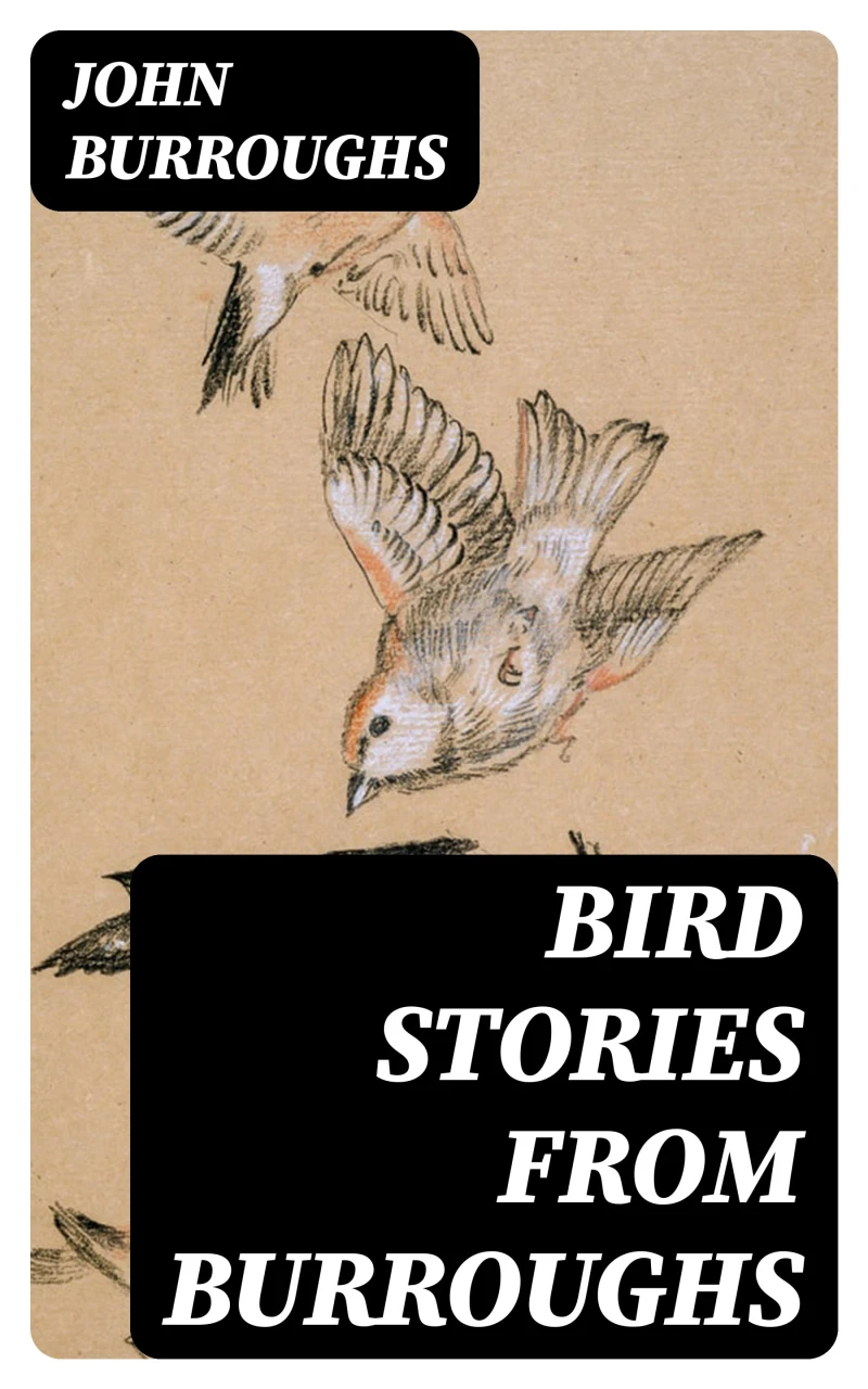Portada: Bird Stories from Burroughs