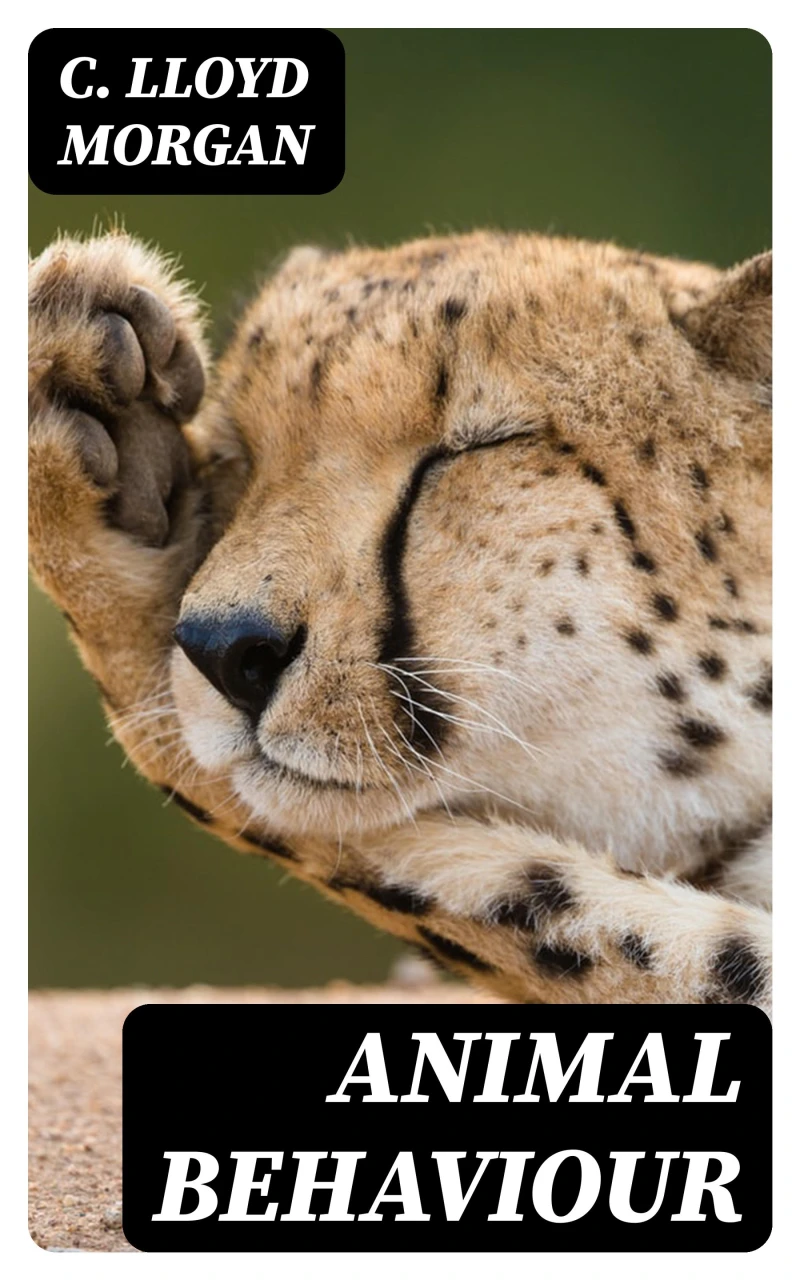 Portada: Animal Behaviour