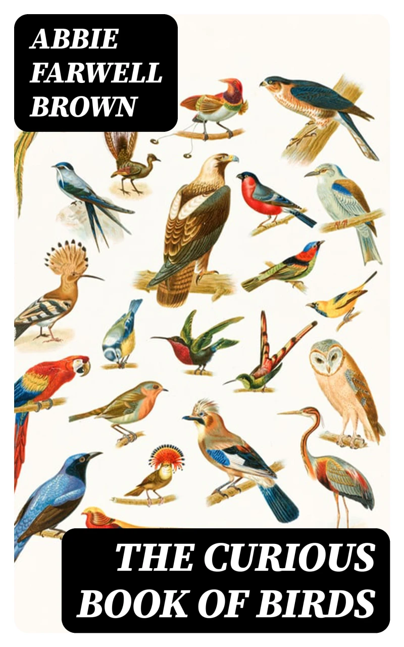 Portada: The Curious Book of Birds