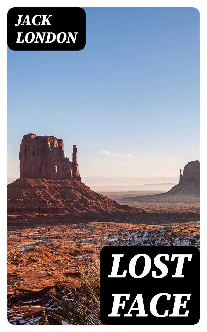 Portada: Lost Face