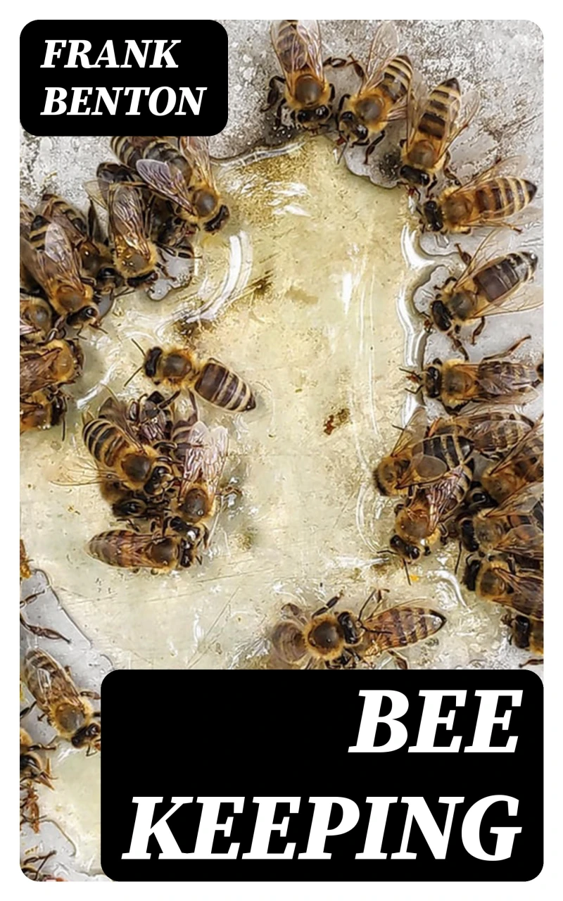 Portada: Bee Keeping