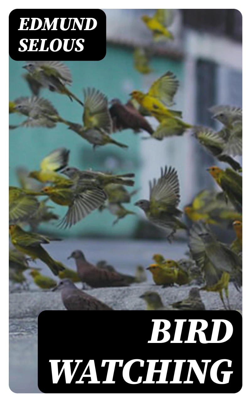 Portada: Bird Watching