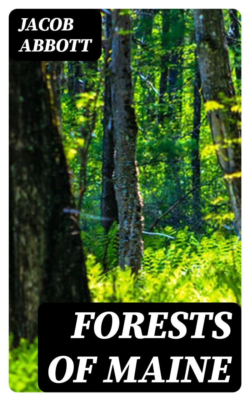 Portada: Forests of Maine