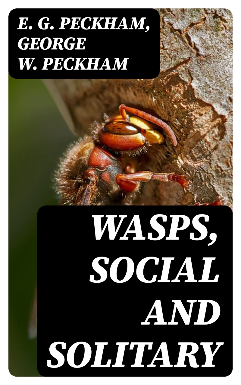 Portada: Wasps, Social and Solitary