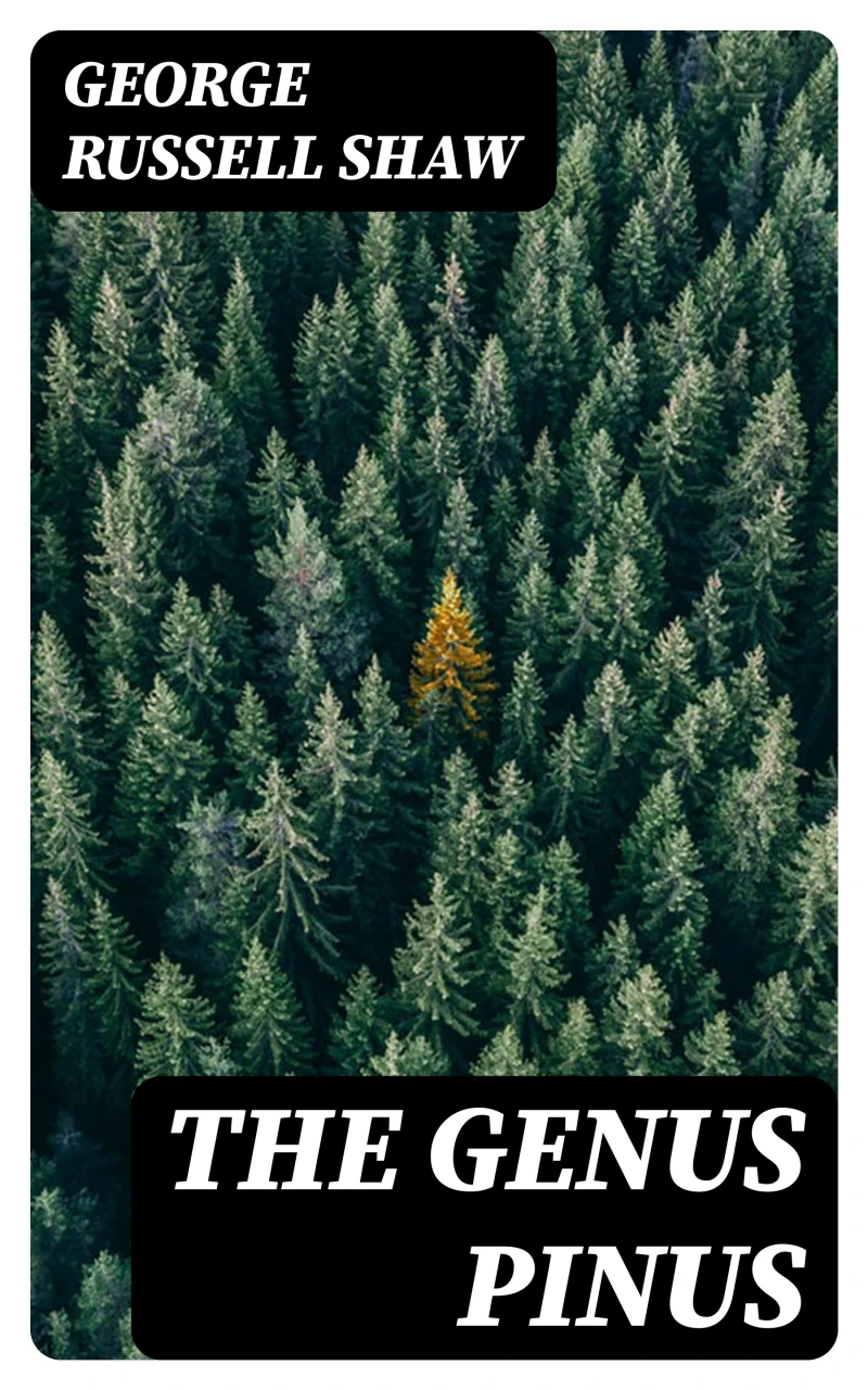 Portada: The Genus Pinus