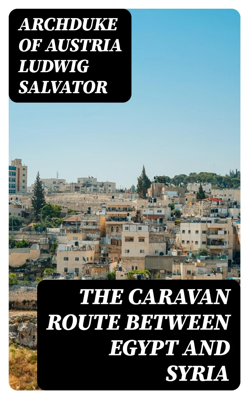 Portada: The Caravan Route between Egypt and Syria
