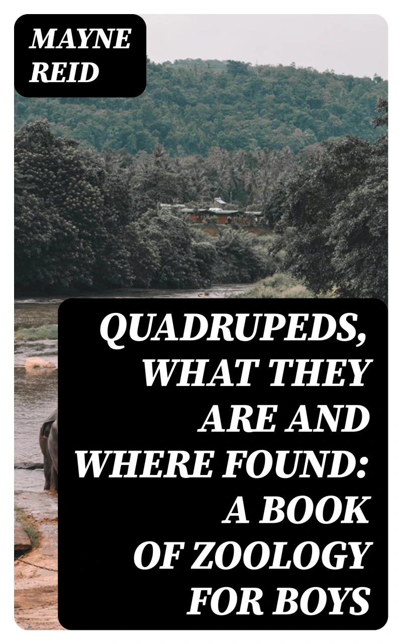Portada: Quadrupeds, What They Are and Where Found: A Book of Zoology for Boys