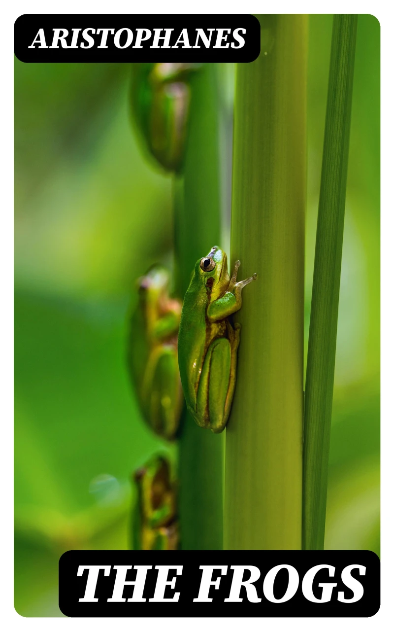 Portada: The Frogs