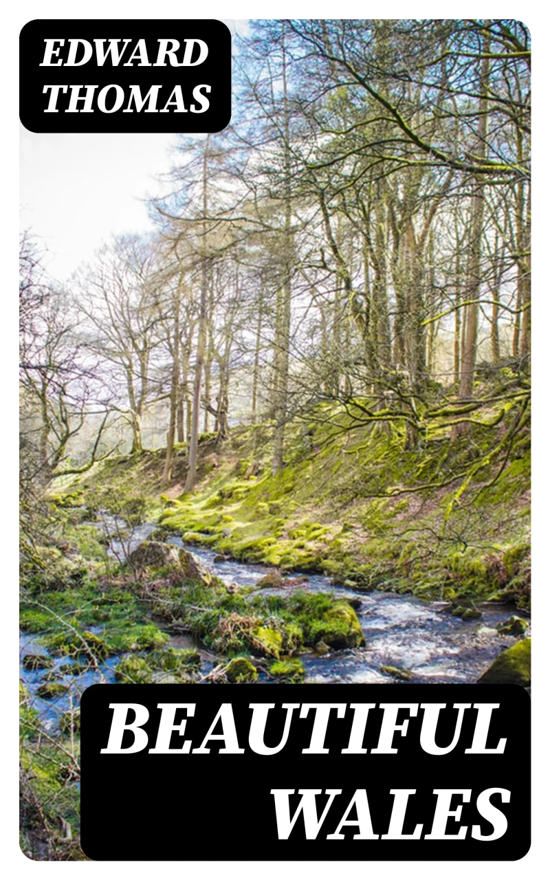 Portada: Beautiful Wales