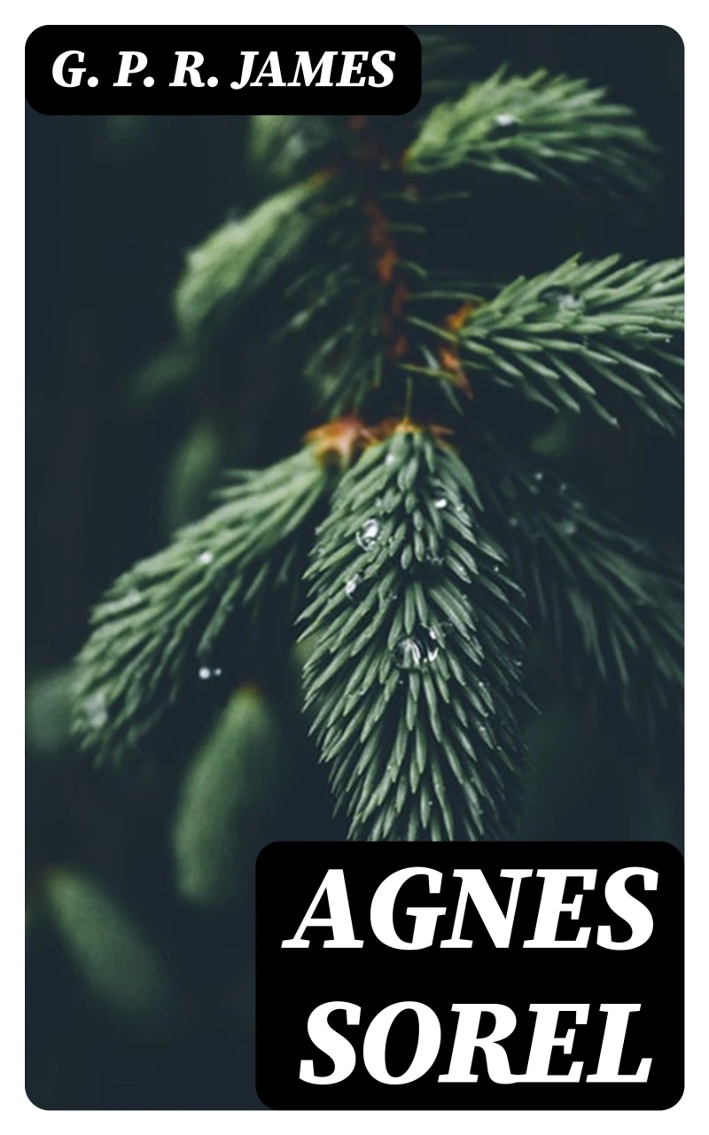 Portada: Agnes Sorel