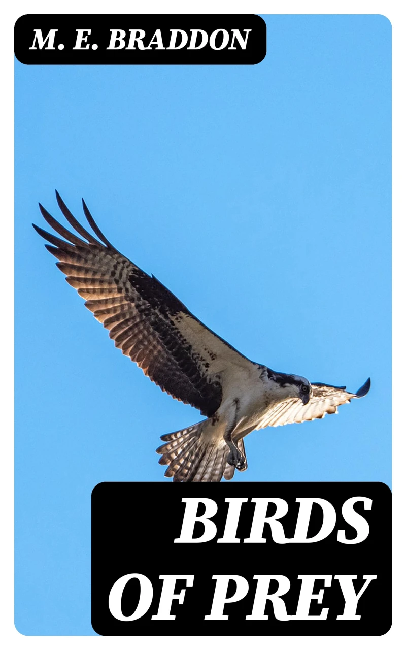 Portada: Birds of Prey