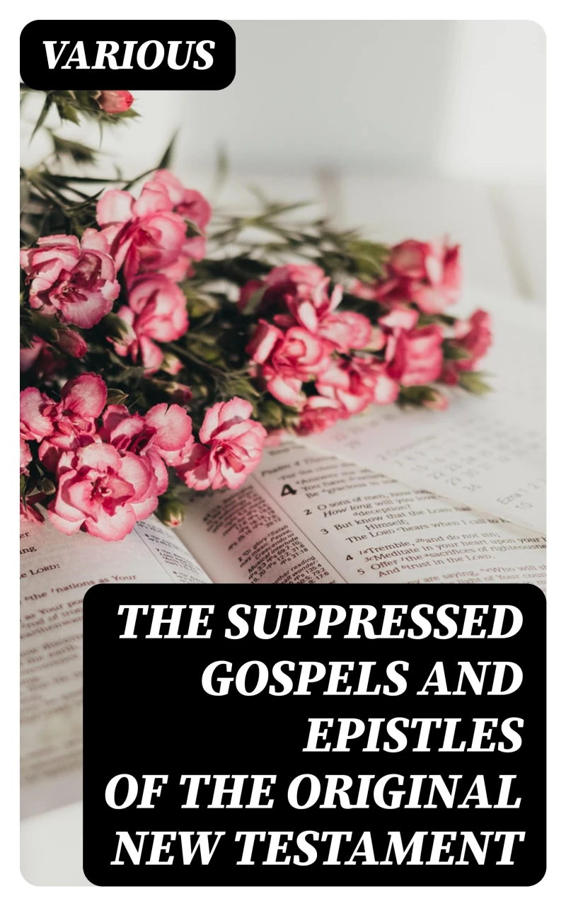 Portada: The Suppressed Gospels and Epistles of the Original New Testament