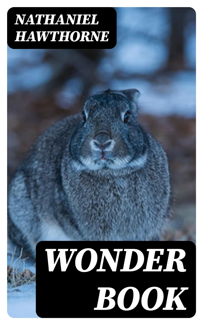 Portada: Wonder Book