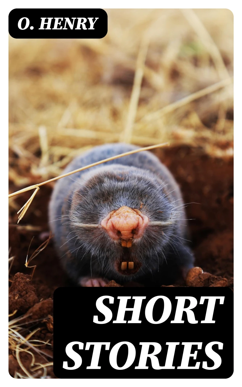 Portada: Short Stories