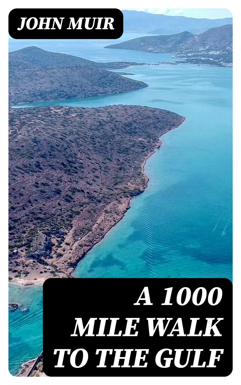 Portada: A 1000 Mile Walk to the Gulf