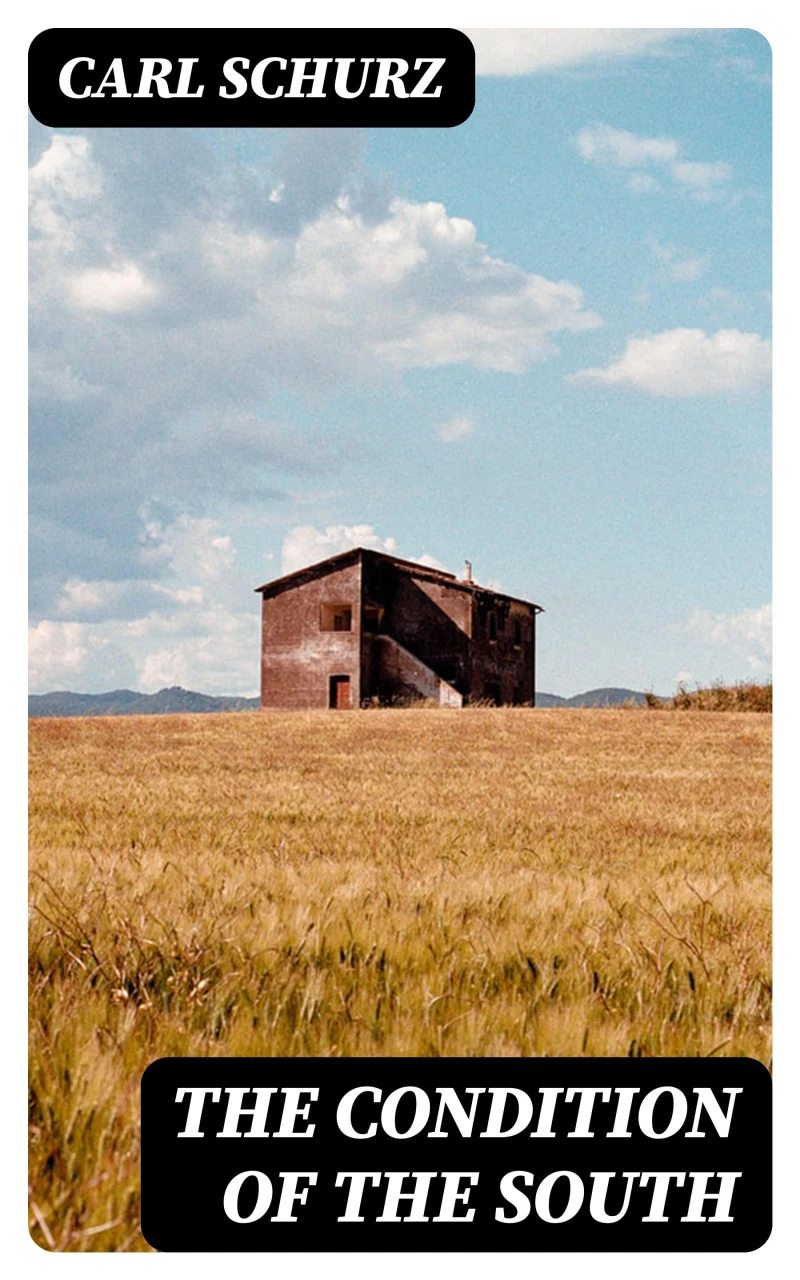 Portada: The Condition of the South