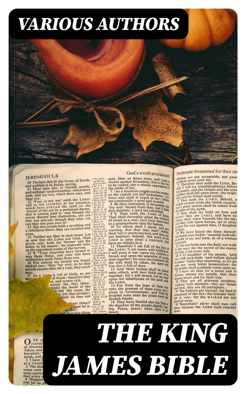 Portada: The King James Bible