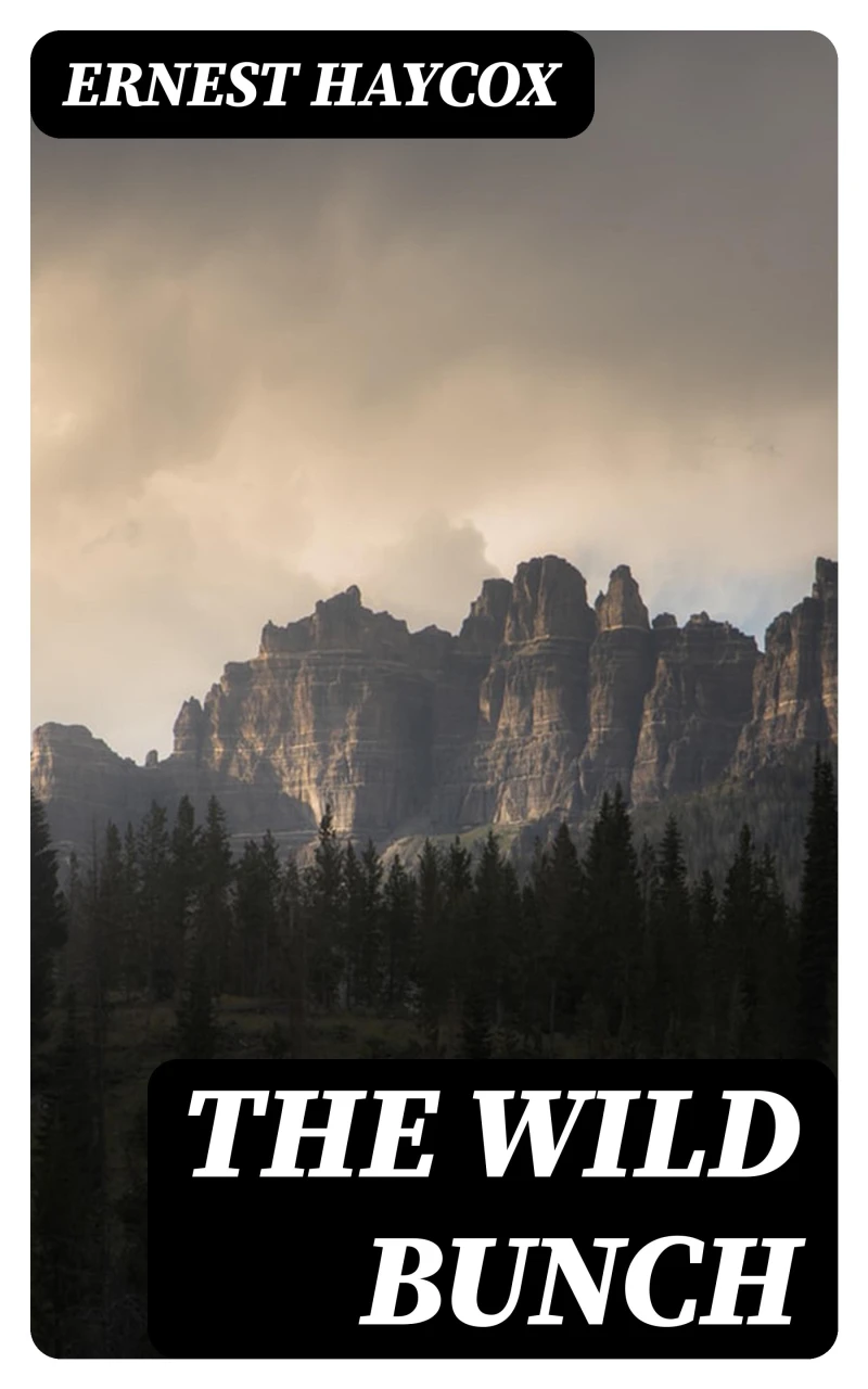 Portada: The Wild Bunch