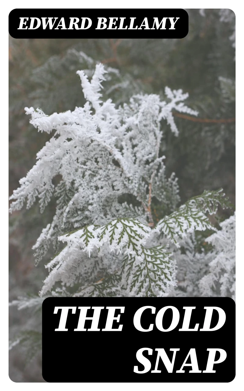 Portada: The Cold Snap