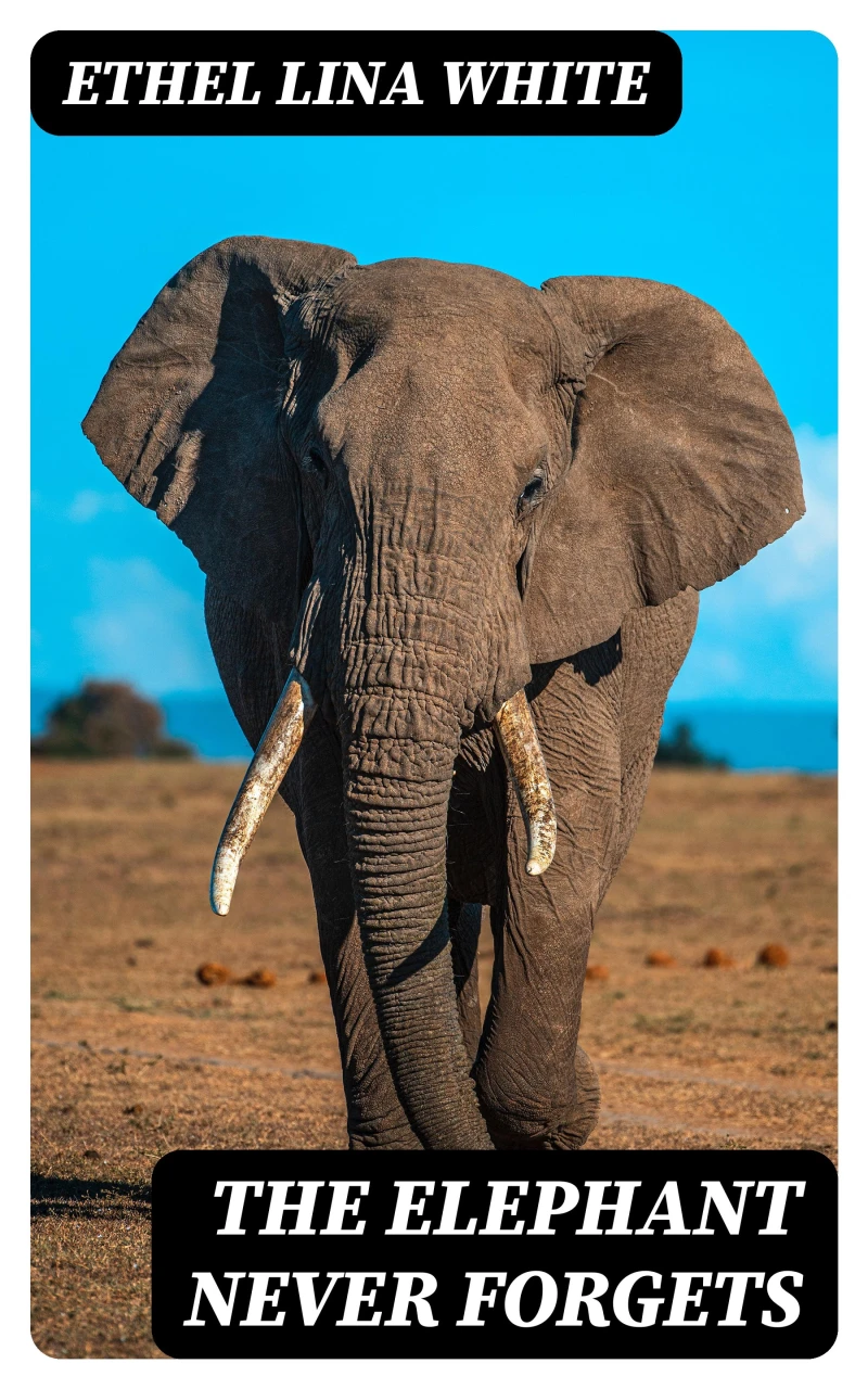 Portada: The Elephant Never Forgets