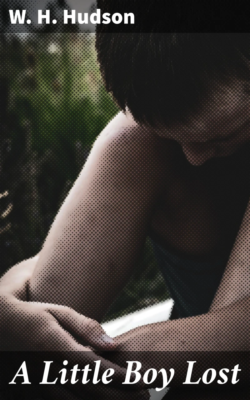 Portada: A Little Boy Lost