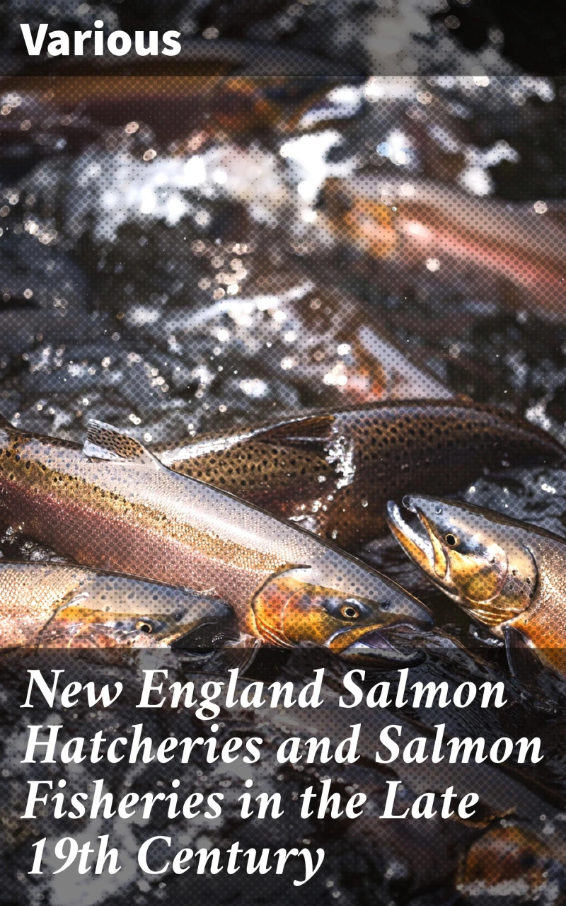 Portada: New England Salmon Hatcheries and Salmon Fisheries in the Late 19th Century