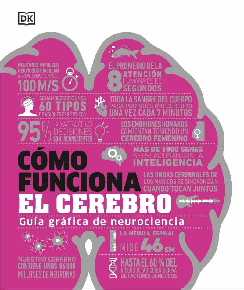 Portada: Cómo funciona el cerebro