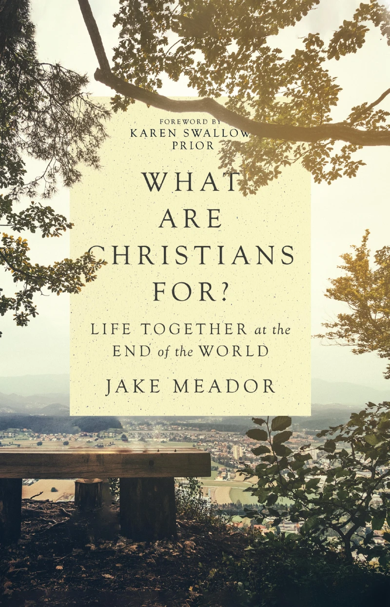 Portada: What Are Christians For?