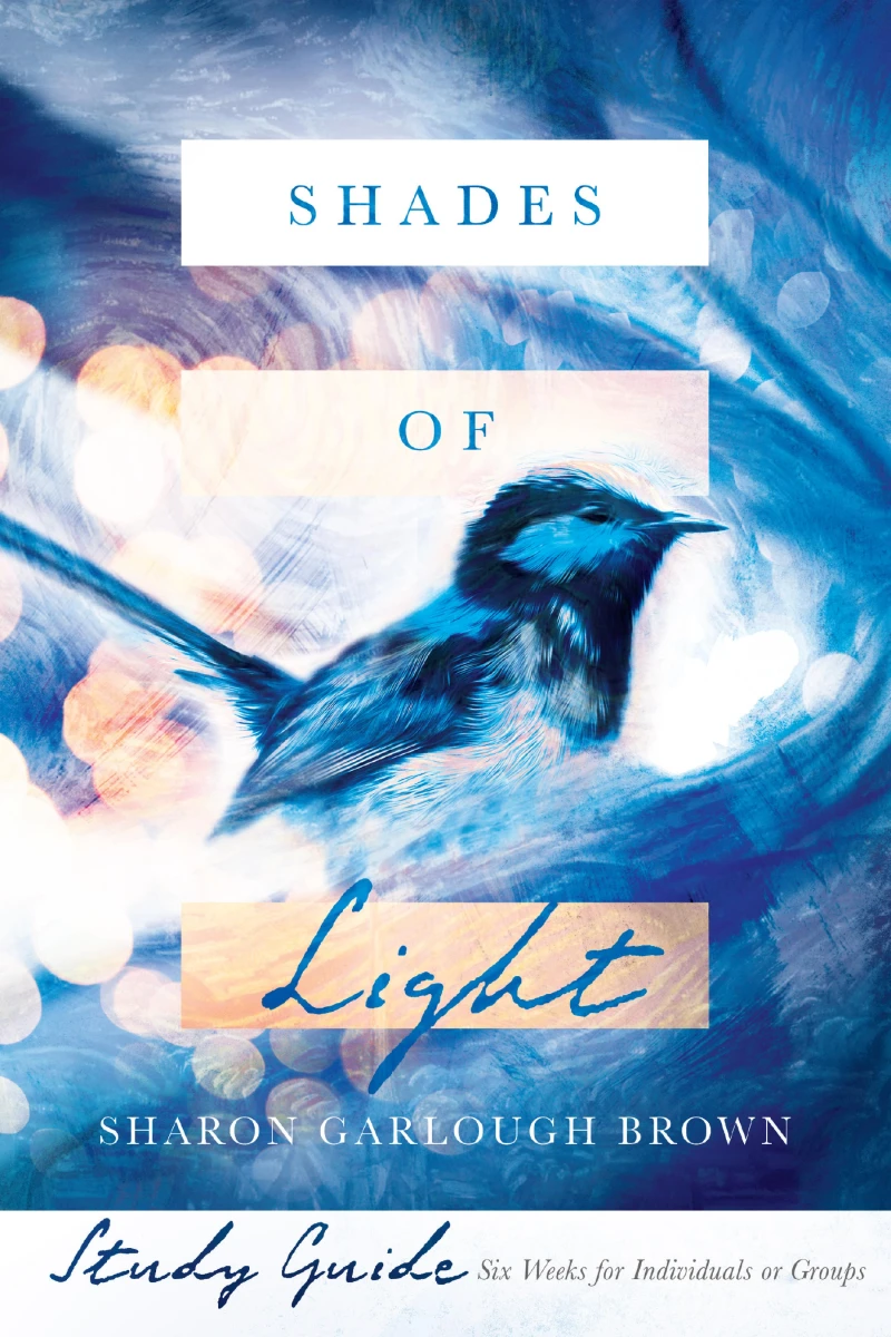 Portada: Shades of Light Study Guide