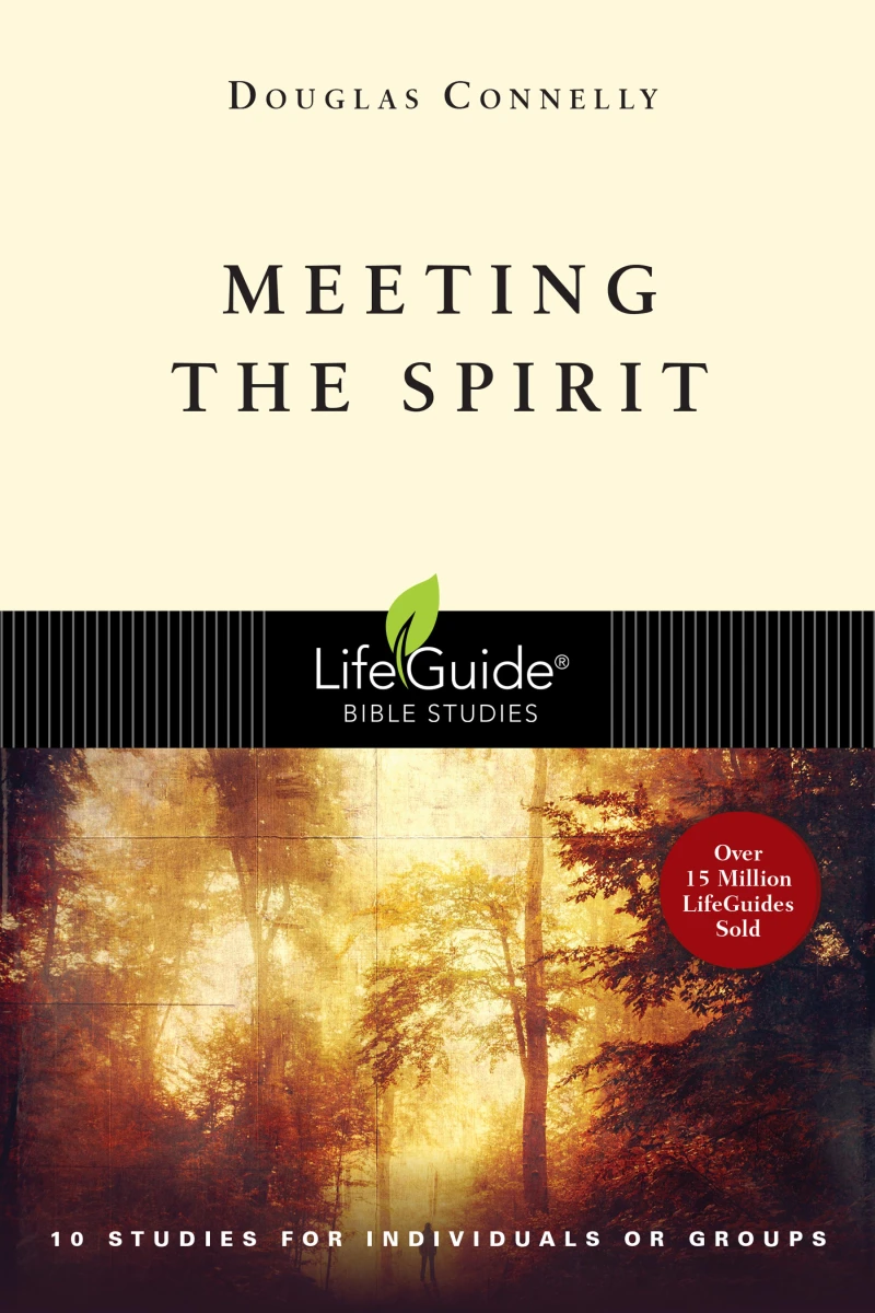 Portada: Meeting the Spirit