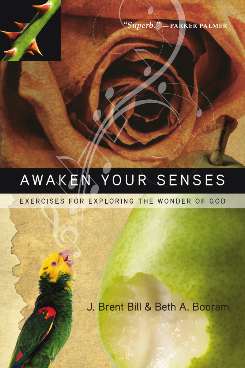 Portada: Awaken Your Senses