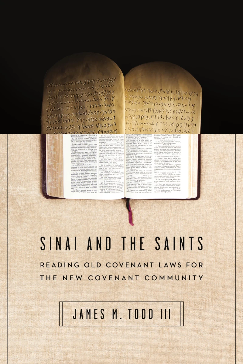 Portada: Sinai and the Saints