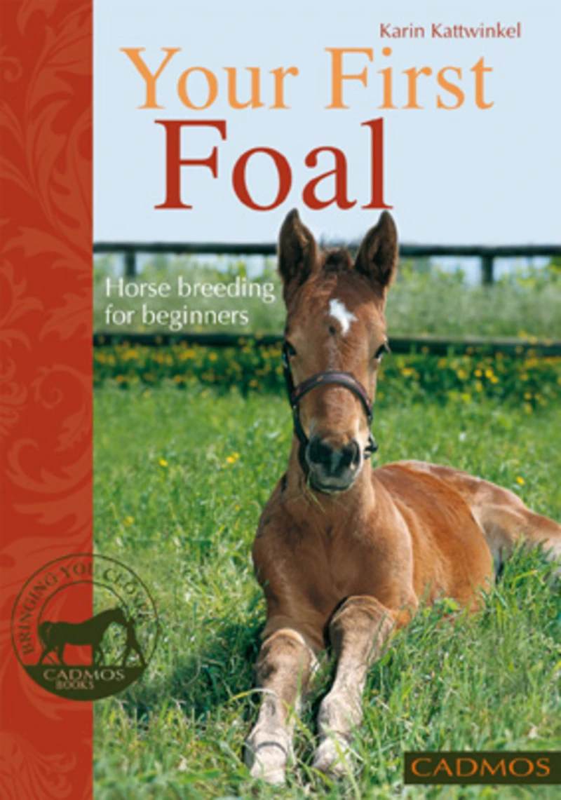 Portada: Your First Foal